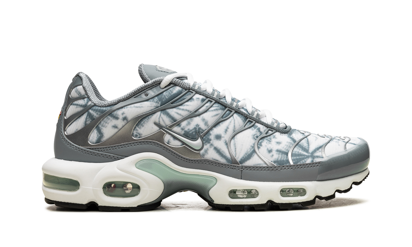 Nike Air Max Plus "Waterway" FV0394 300