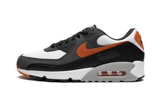 Nike Air Max 90 "Starfish" DM0029 101