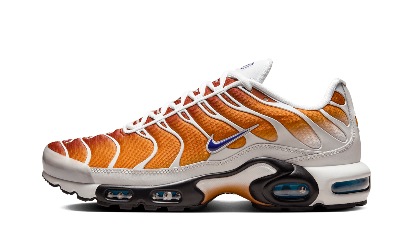 Nike Air Max Plus "One Block Down - Chutney EU Exclusive" FZ3308 700