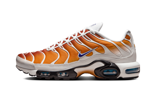 Nike Air Max Plus "One Block Down - Chutney EU Exclusive" FZ3308 700