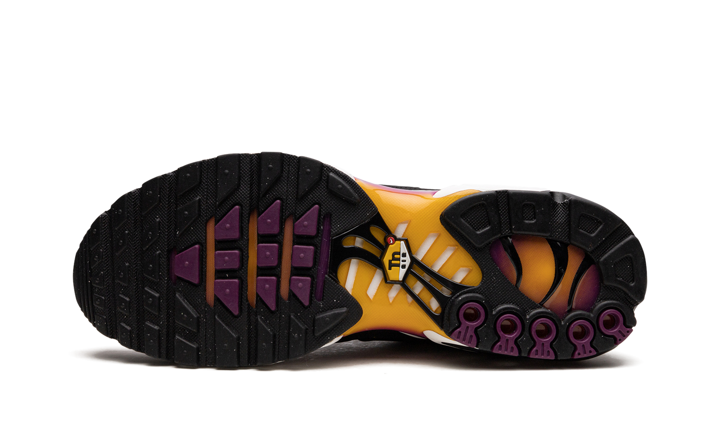 Nike Air Max Plus DX2663 001
