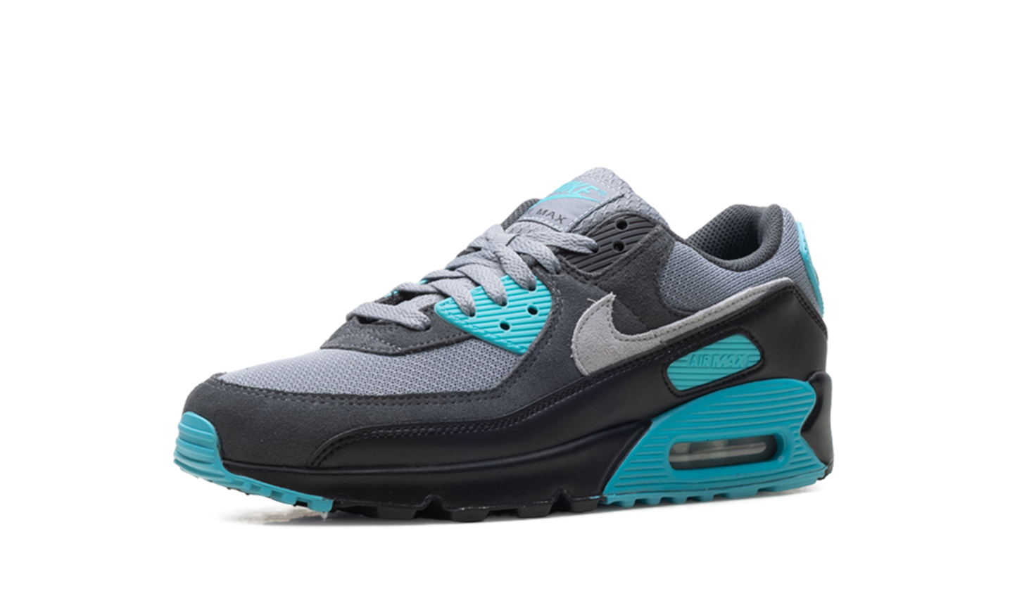 Nike Air Max 90 "Dusty Cactus" DM0029 013