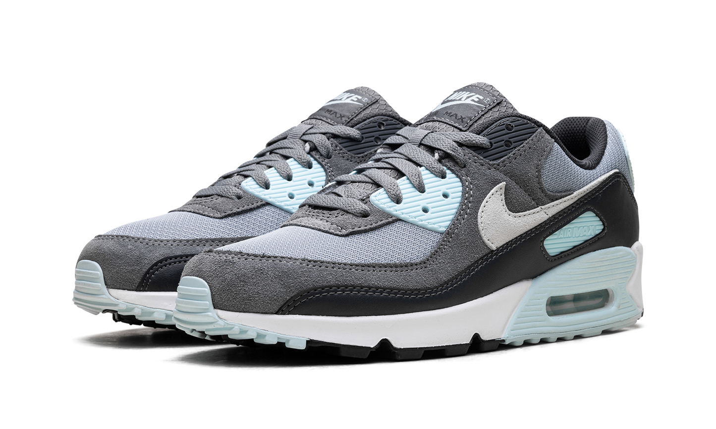 Nike Air Max 90 "Pumice" DM0029 009