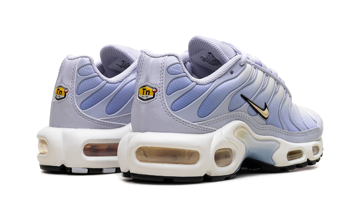 Nike Air Max Plus WMNS "Daybreak" DZ3670 004
