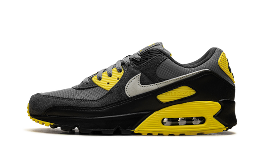 Nike Air Max 90 "Smoke Grey Lightning" DM0029 016