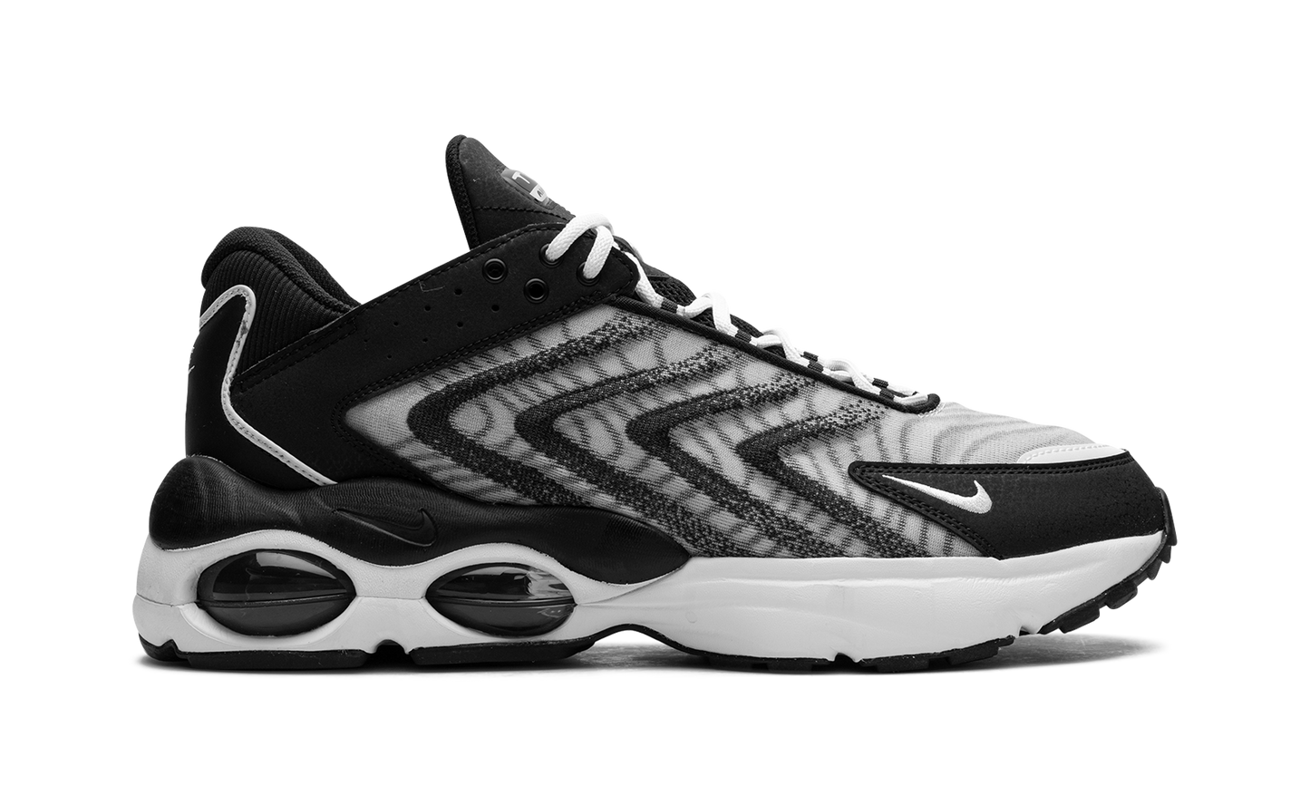 Nike Air Max TW "Black White" DQ3984 001