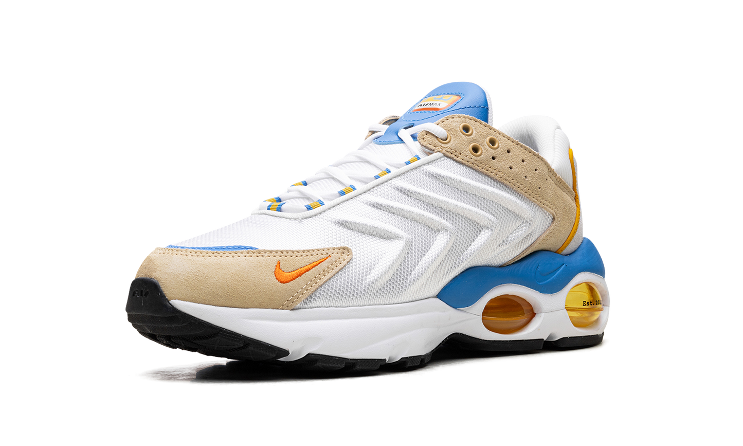 Nike Air Max TW "Frank Rudy" DV1232 100
