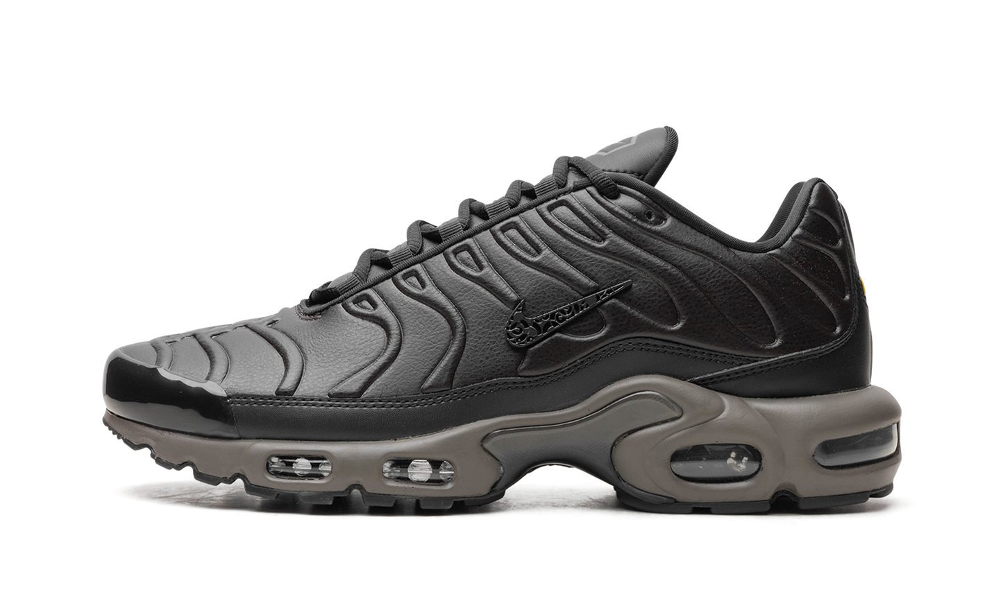 Nike Air Max Plus "Black Tea / Petra Brown" "Black Tea / Petra Brown" HJ4519 200