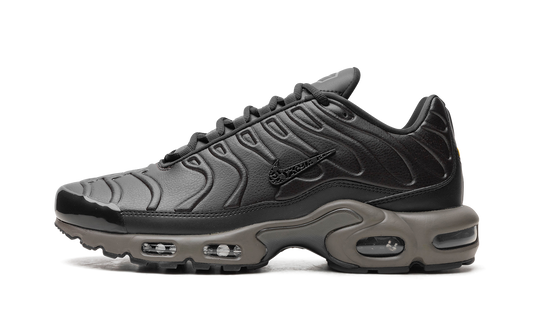 Nike Air Max Plus "Black Tea / Petra Brown" "Black Tea / Petra Brown" HJ4519 200