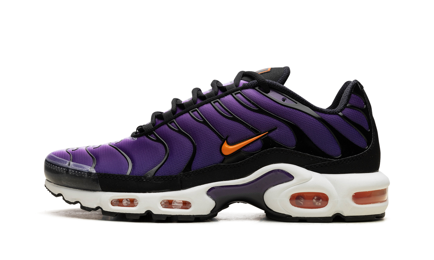 Nike Air Max Plus "Voltage Purple" DX0755 500