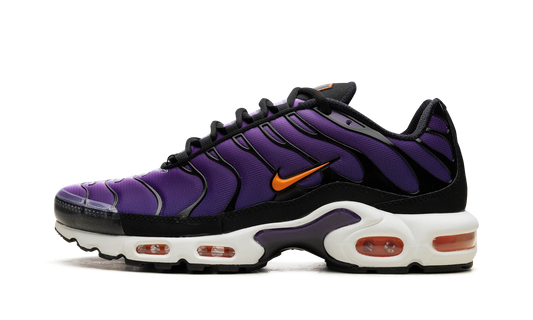 Nike Air Max Plus "Voltage Purple" DX0755 500