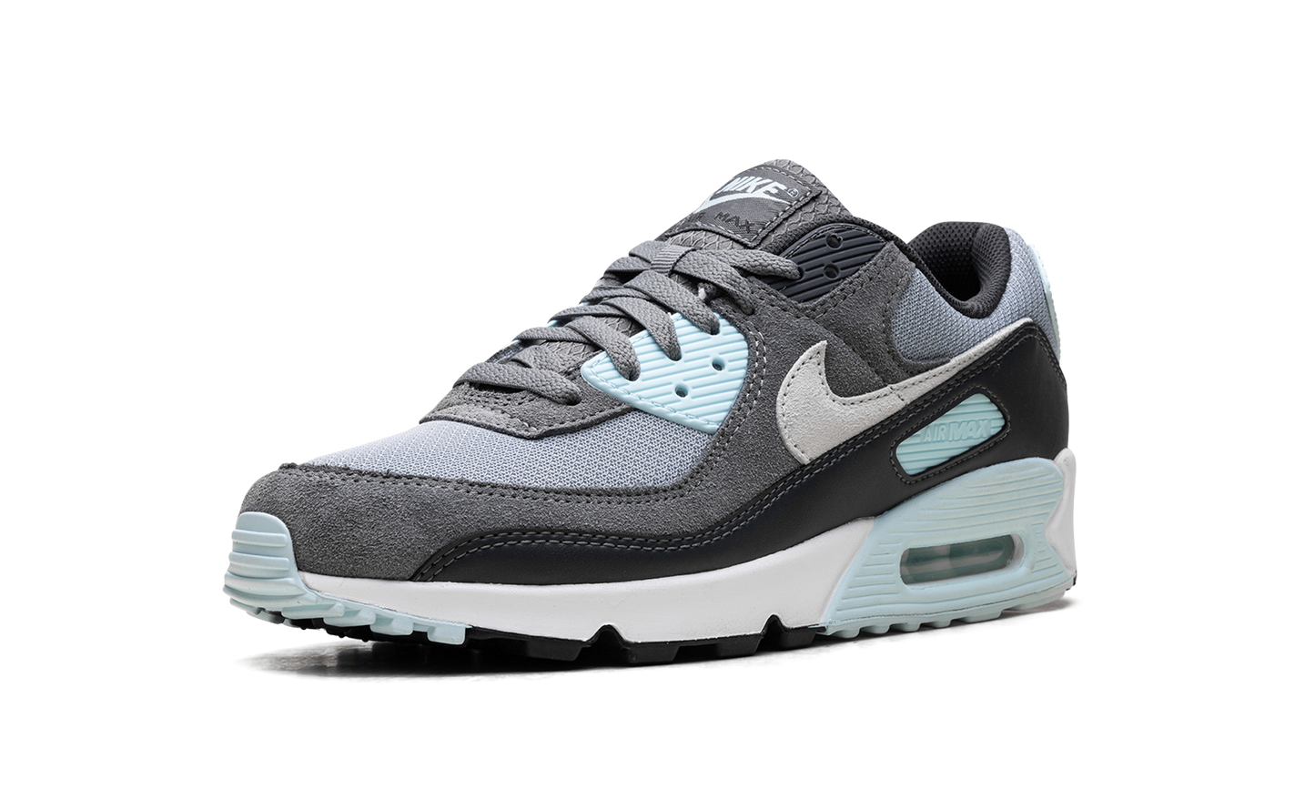 Nike Air Max 90 "Pumice" DM0029 009