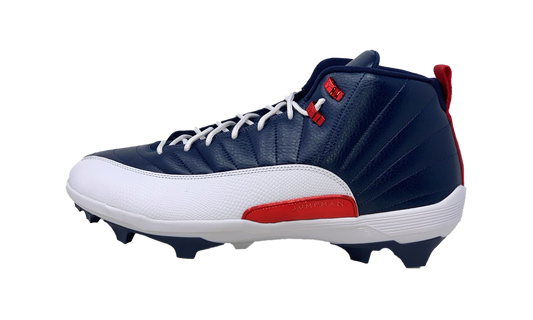 Jordan 12 Force Savage 3 PE Howard Bison' FJ6223 416