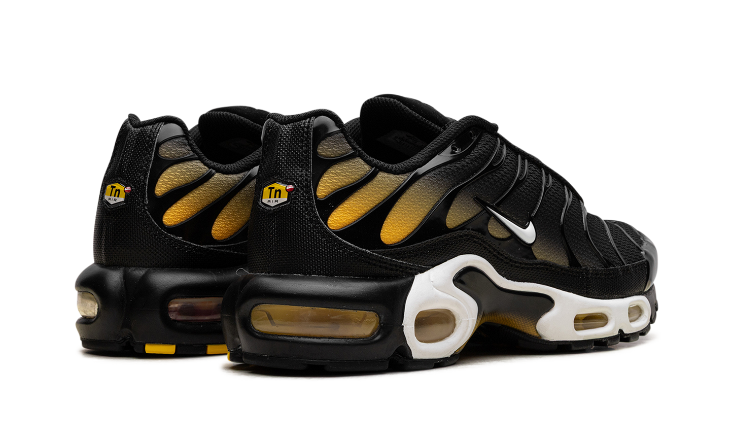 Nike Air Max Plus "Black University Gold White" DM0032 013