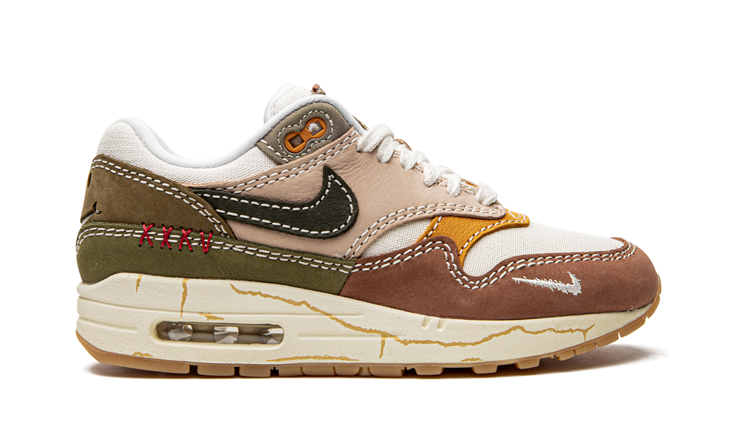 Nike Air Max 1 Premium "Wabi-sabi" DQ8656 133
