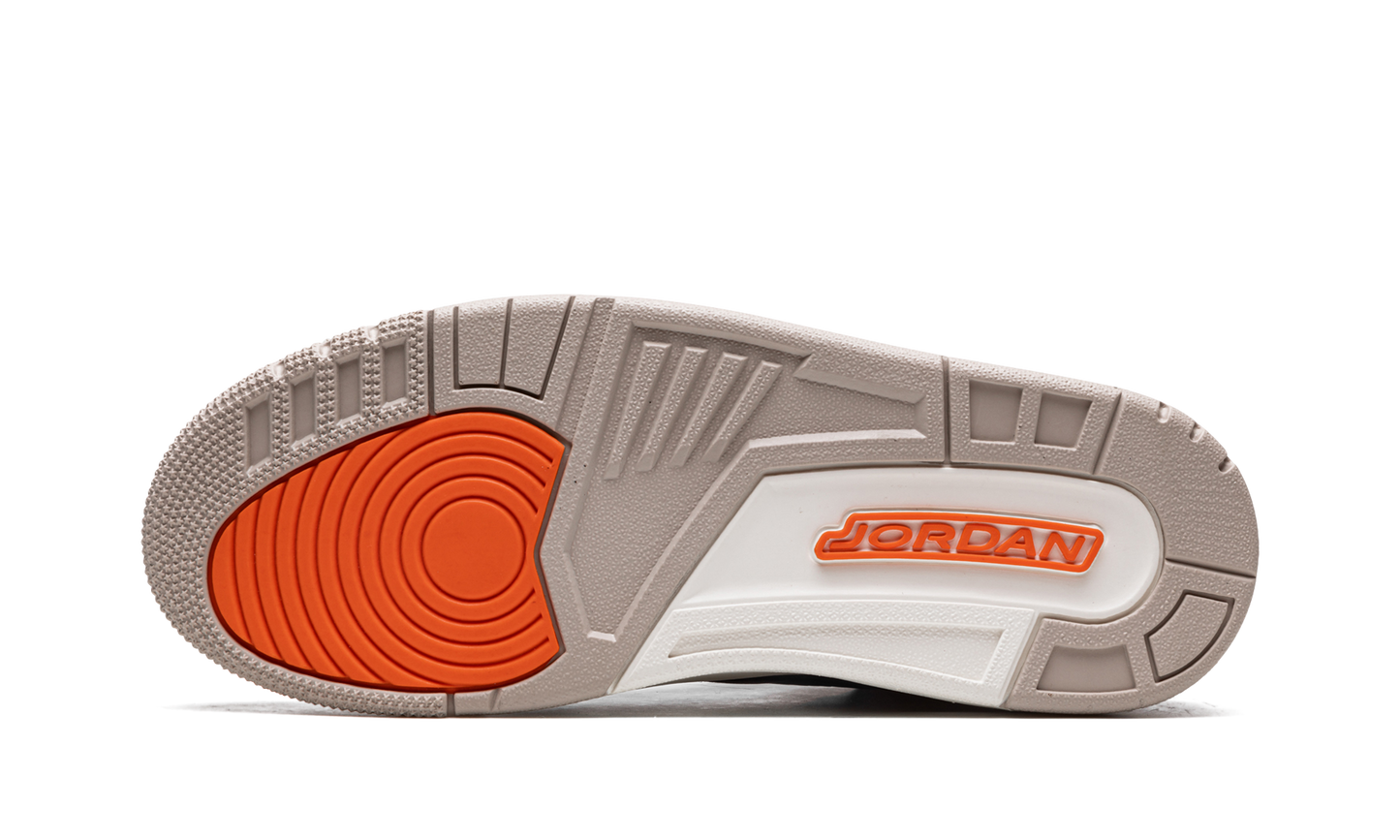 Air Jordan 3 Retro Desert Elephant CT8532 008