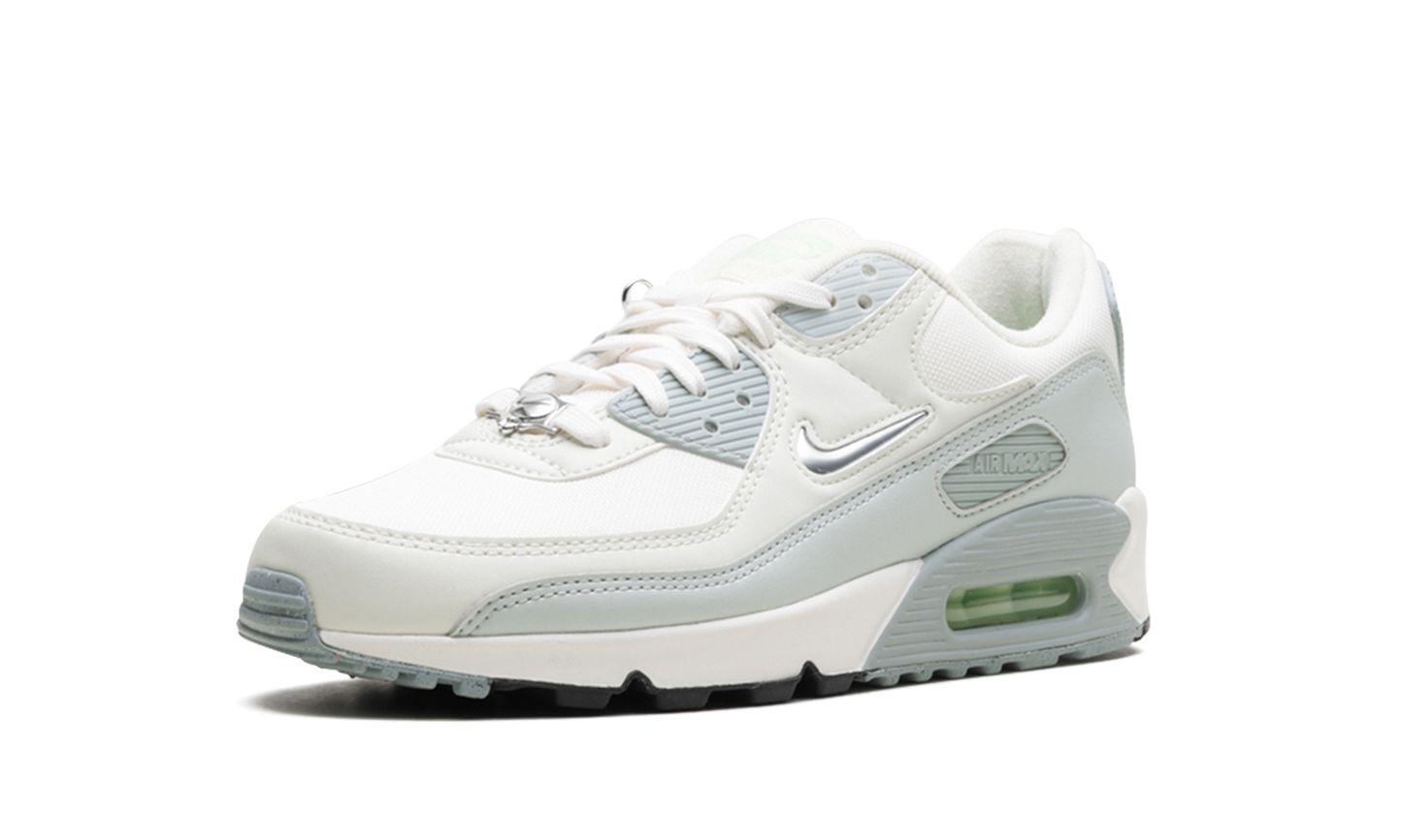 Nike Air Max 90 WMNS "Silver" FN6948-100