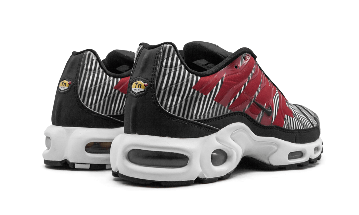 Nike Air Max Plus TN SE "Striped" AT0040 001