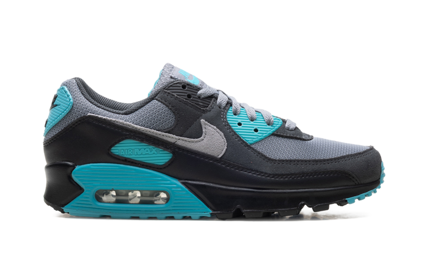 Nike Air Max 90 "Dusty Cactus" DM0029 013