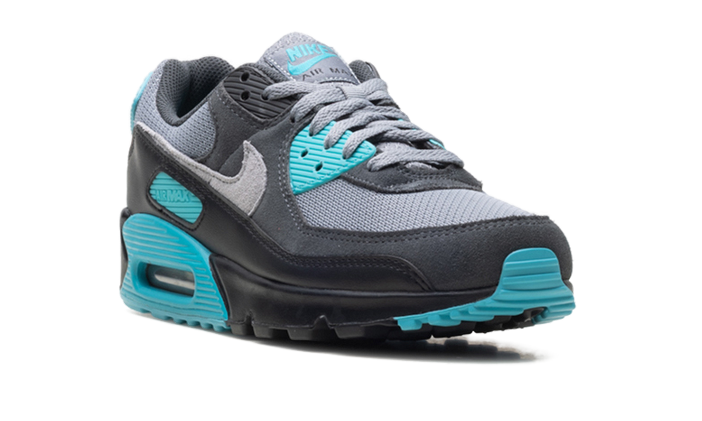 Nike Air Max 90 "Dusty Cactus" DM0029 013