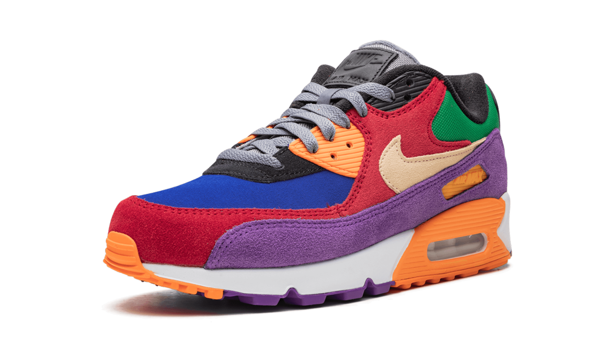 Nike Air Max 90 "Viotech" CD0917 600