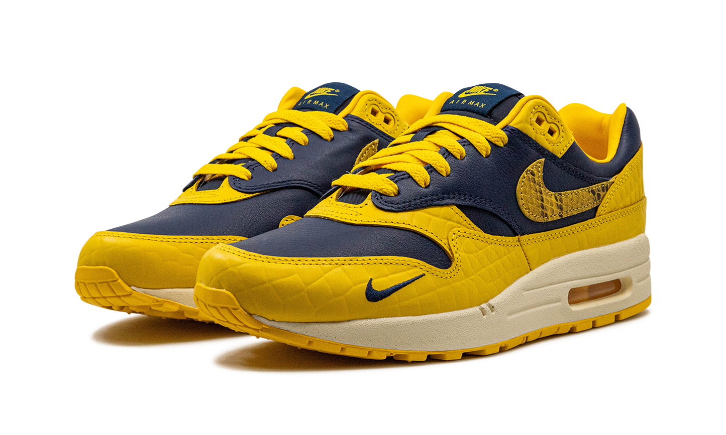 Nike AIR MAX 1 PRM MNS WMNS "Co.jp Head to Head" FJ5479 410