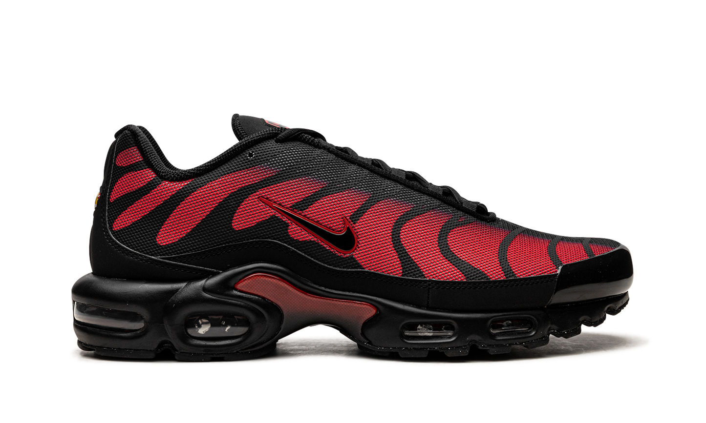 Nike Air Max Plus "Bred Reflective" DZ4507 600