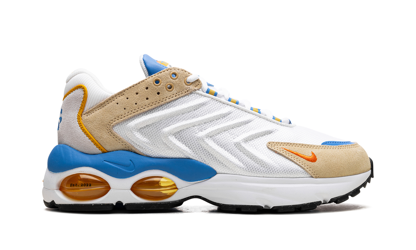 Nike Air Max TW "Frank Rudy" DV1232 100