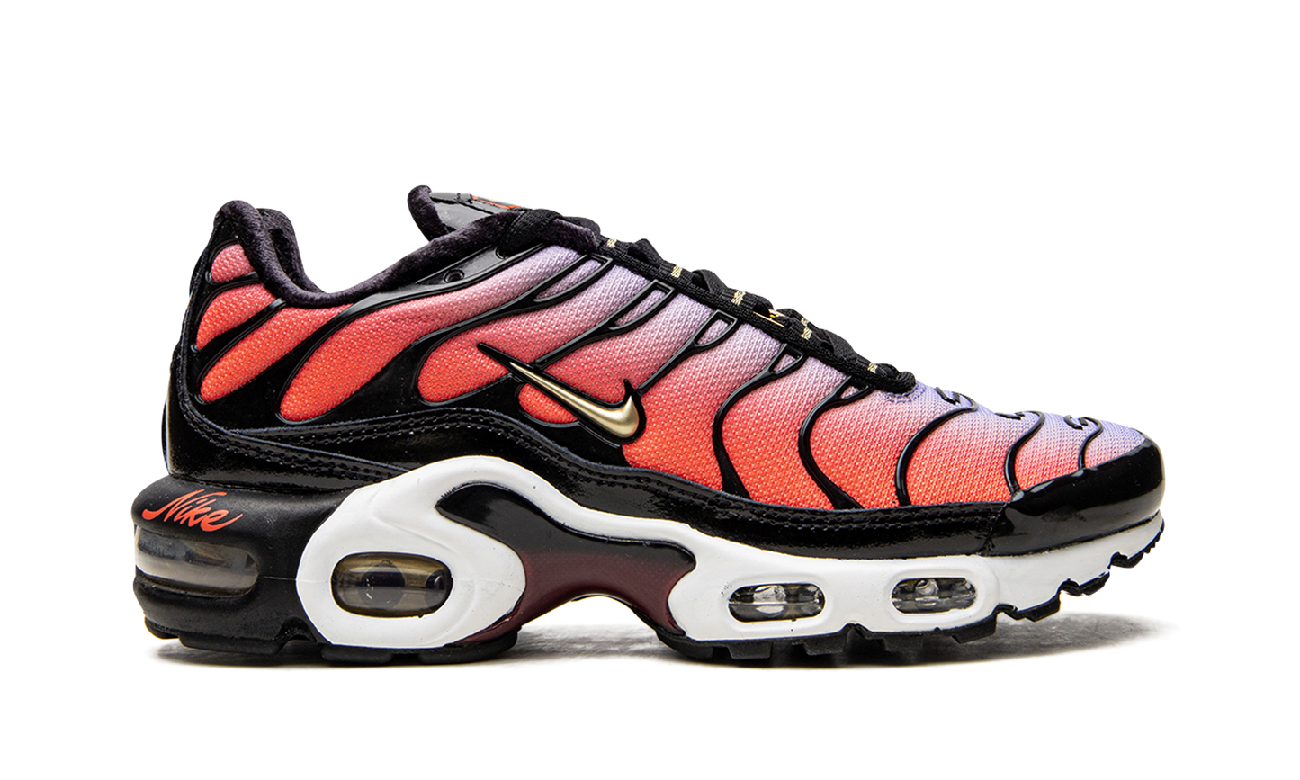 Nike AIR MAX PLUS MNS WMNS "Sisterhood" DO6115 500