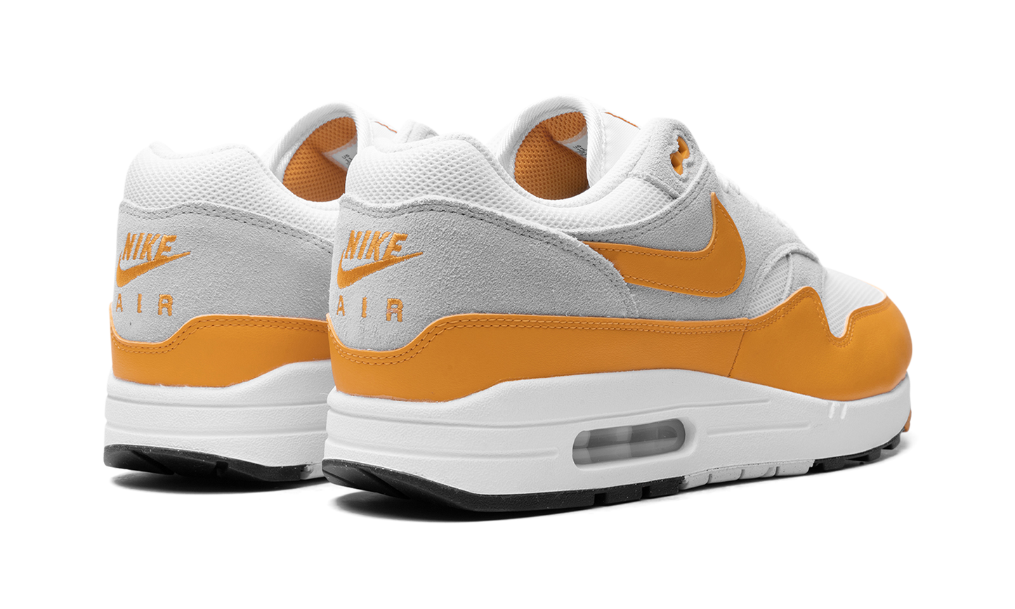 Nike Air Max 1 "Gold" FZ5808-100