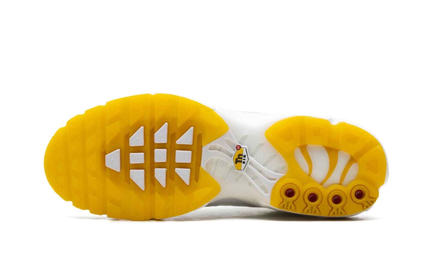 Nike Air Max Plus "Marion Frank Rudy" DQ8960 100