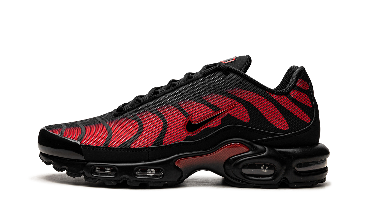 Nike Air Max Plus "Bred Reflective" DZ4507 600