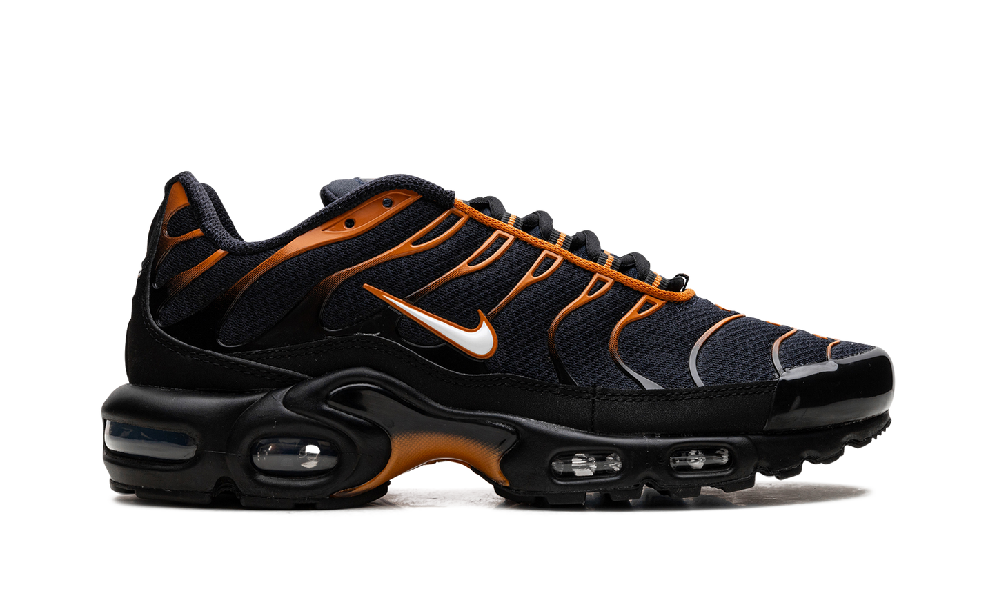 Nike Air Max Plus "OBSIDIAN MONARCH" FN6949 400