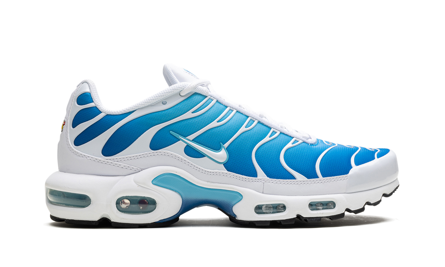 Nike Air Max Plus "Blue Gaze" 852630 411