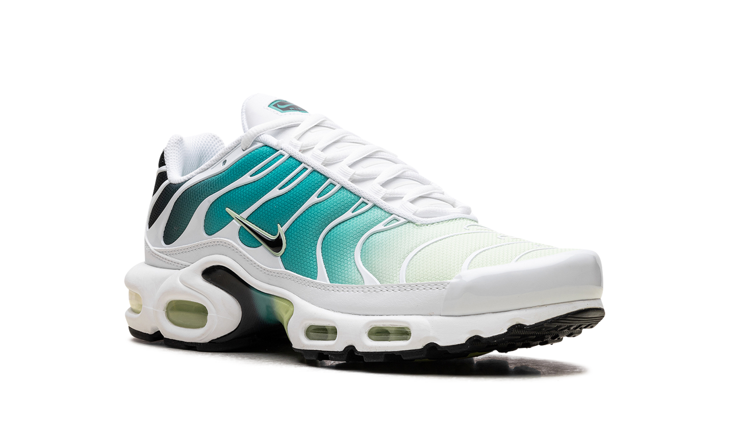 Nike Air Max Plus WMNS "Dusty Cactus Barely Volt" DZ3670 102